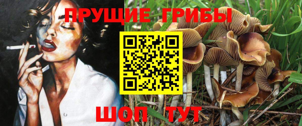 Галлюциногенные грибы MAGIC MUSHROOMS  сколько стоит  Баксан  Вход с VPN 